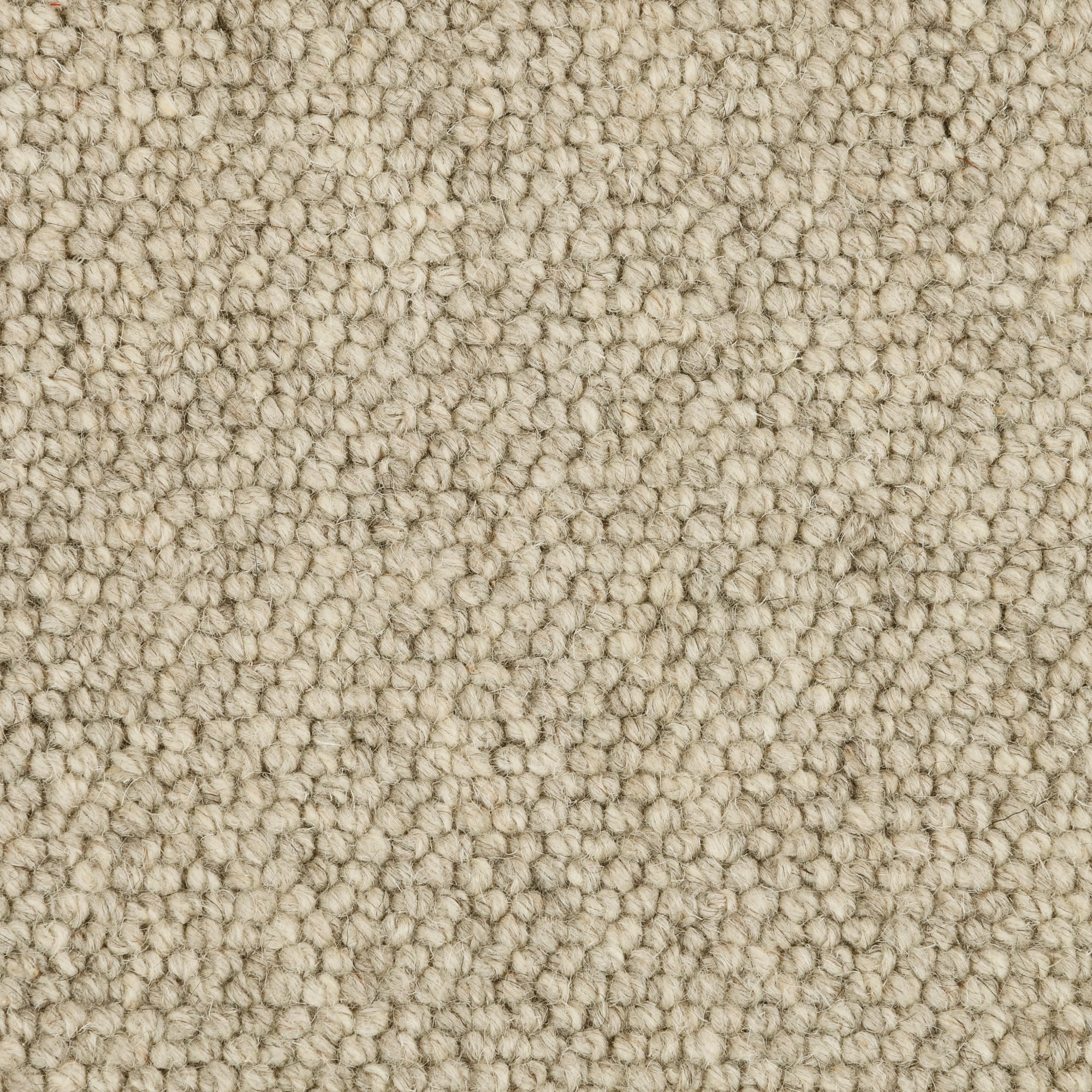 Delamere: Silver Mist - 100% Wool Carpet