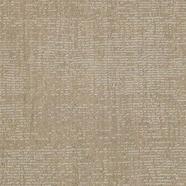 Kensington: Doeskin - 100% New Zealand Wool Carpet
