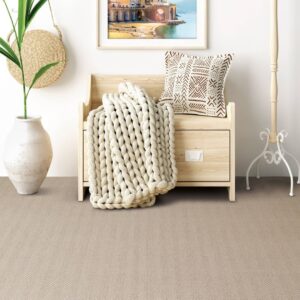 What’s Set To Be Hot Underfoot: The 2025 Carpet Forecast